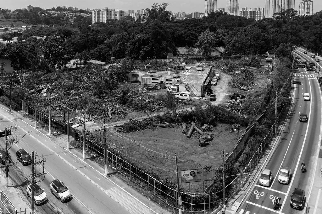 Preservar as rvores do Butant