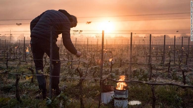 'It's a tragedy.' French winemakers face devastation after worst weather in 30 years