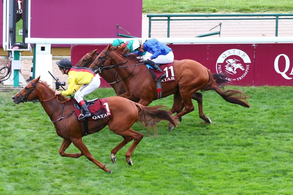 GP de l'Arc de Triomphe tem primeira nominata divulgada, com 86 cavalos