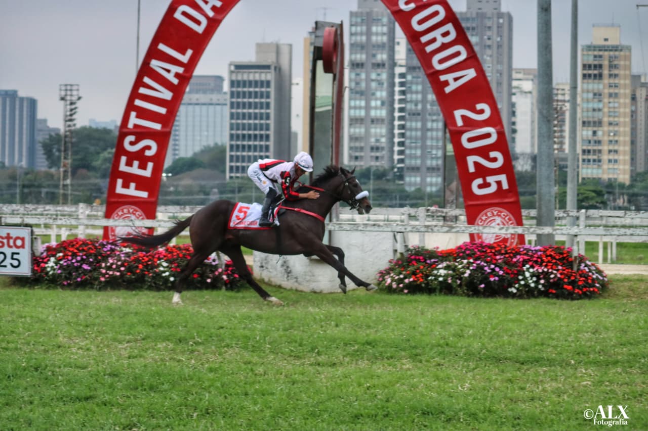 Havana Cigar conquista o GP Derby Paulista, no hipdromo de Cidade Jardim