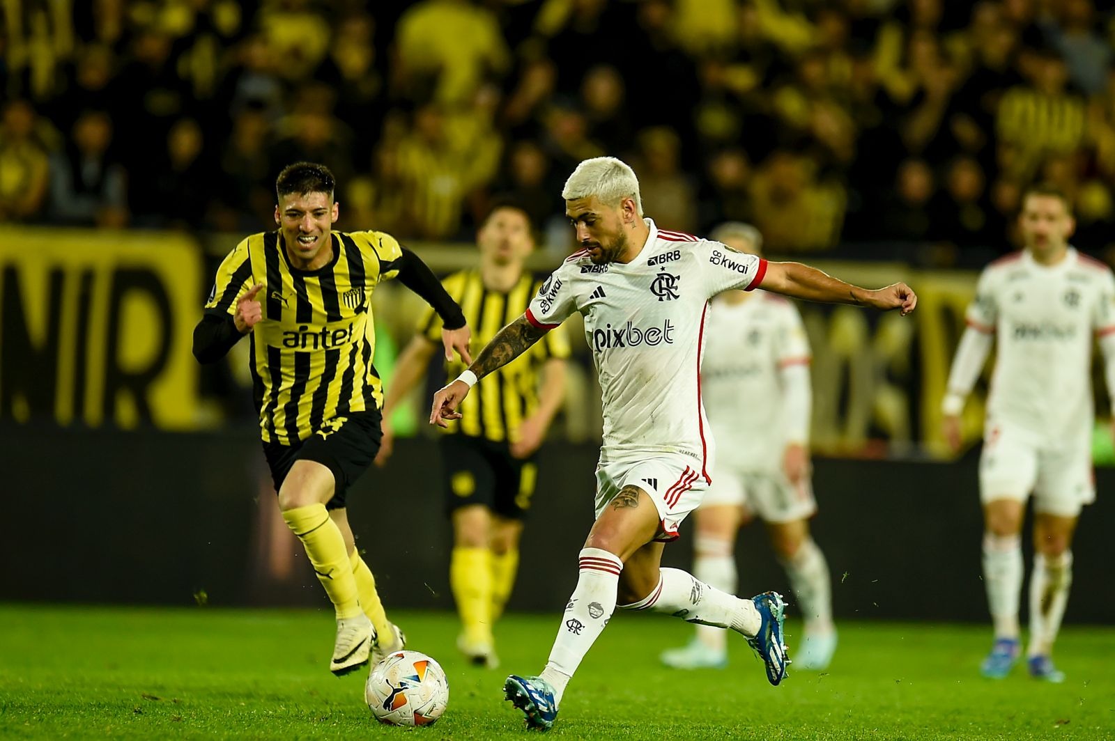 Flamengo  o ltimo a cair nas quartas da Libertadores; veja os jogos das semifinais