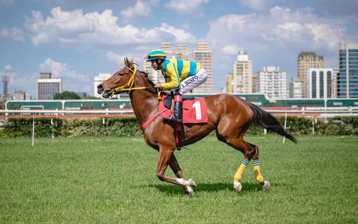 Cmara de SP aprova proibio de corridas de cavalo, atividade regida por lei federal