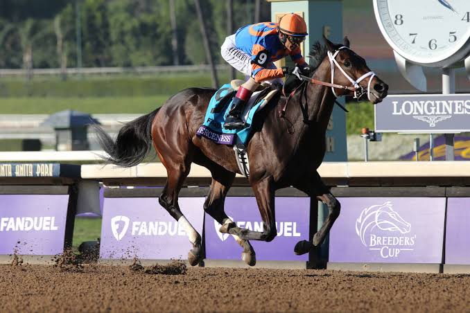 Fierceness e Journalism são os mais cotados da Breeders' Cup Classic deste sábado, em Del Mar