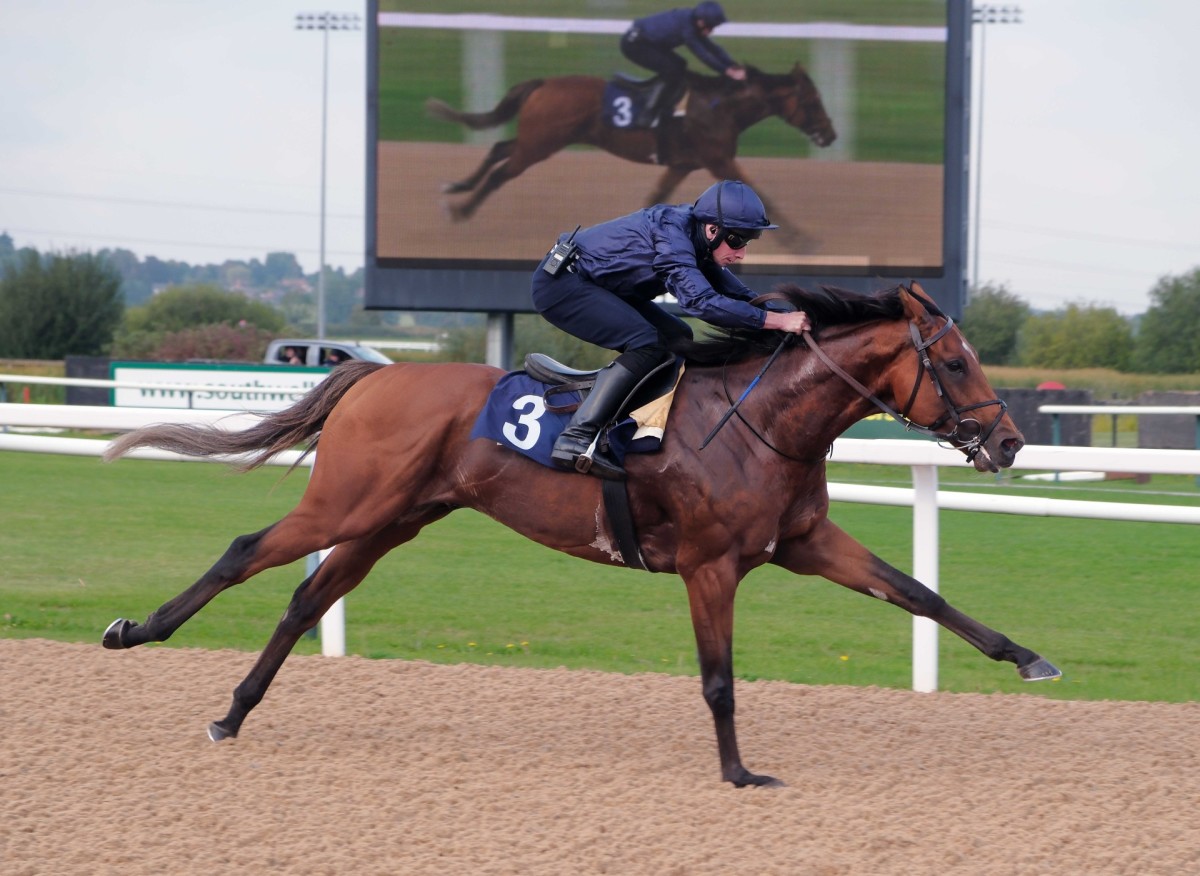 Dezesseis cavalos largam na Breeders' Cup Classic neste sbado, em Del Mar