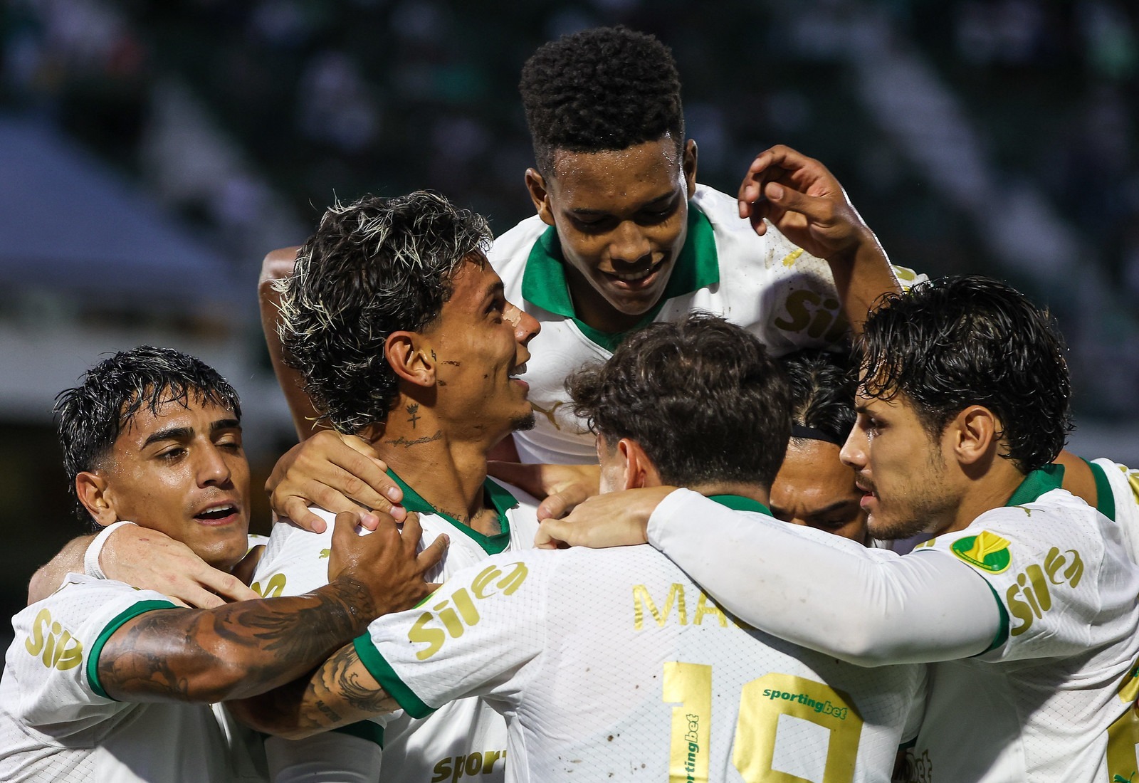 Palmeiras goleia Guarani e Corinthians joga hoje contra o Novorizontino