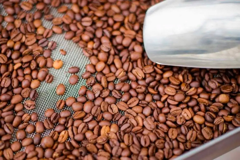 Na pandemia, cresce consumo mundial de café