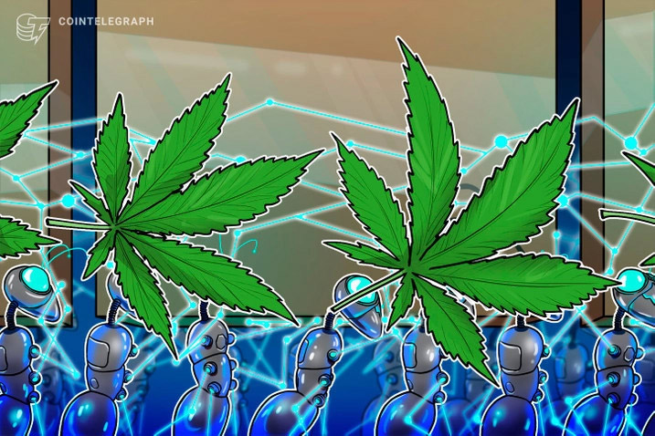 Depois de Bitcoin e DeFi, Vitreo lança fundo de maconha, o Cannabis Ativo, aprovado pela CVM