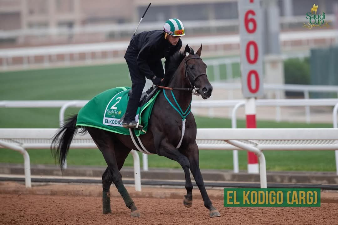 Argentino El Kodigo ser um dos concorrentes da Saudi Cup (G.1) neste sbado