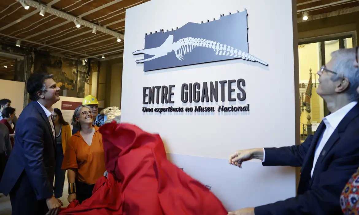 Museu Nacional do Rio reabre para exposio sete anos aps incndio