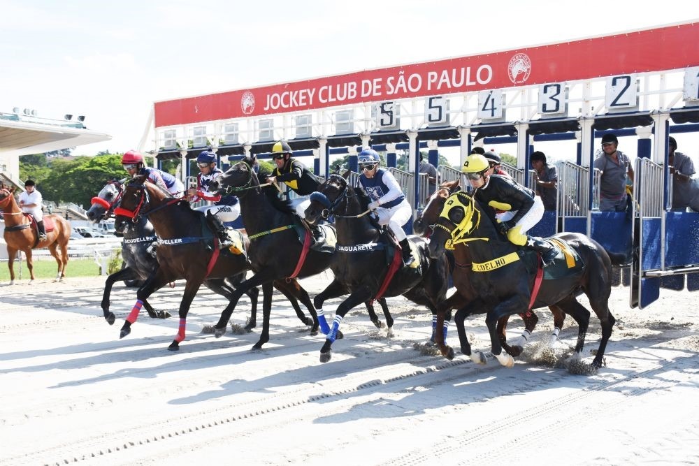 Câmara Municipal de SP vota nesta terça proibição de apostas em corridas de cavalo no município