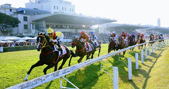 SP: Câmara Municipal quer proibir apostas em corridas de cavalos, por Cyro Fiuza