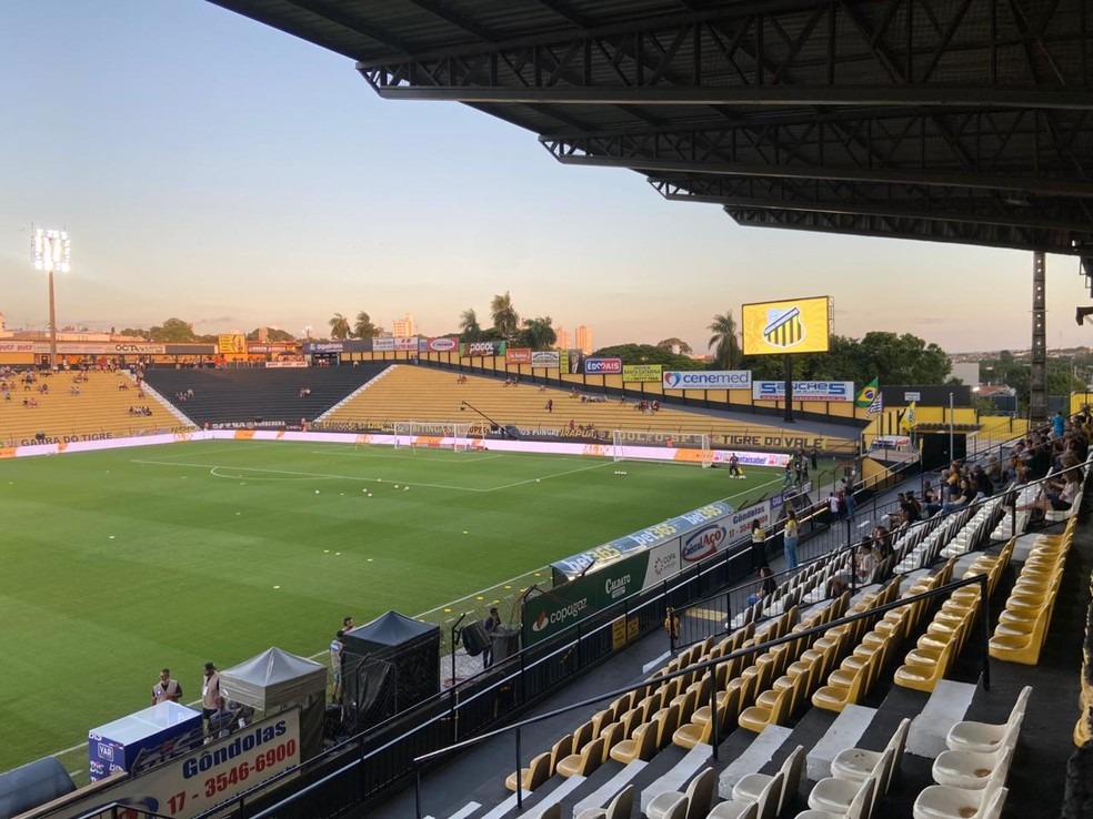 Novorizontino x Palmeiras: veja ordem dos jogos da final do Paulist�o